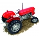 MASSEY FERGUSON 65